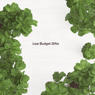 Low budget gifts
