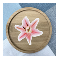 Custom Bamboo Coaster Printing 16