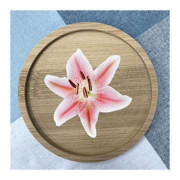 Custom Bamboo Coaster Printing 16