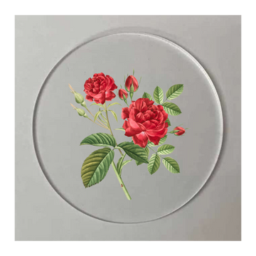 Custom Acrylic Coaster 01