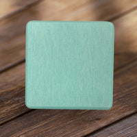 Eco friendly Diatomite Coaster Printing 24