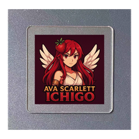Custom Acrylic Coaster 02