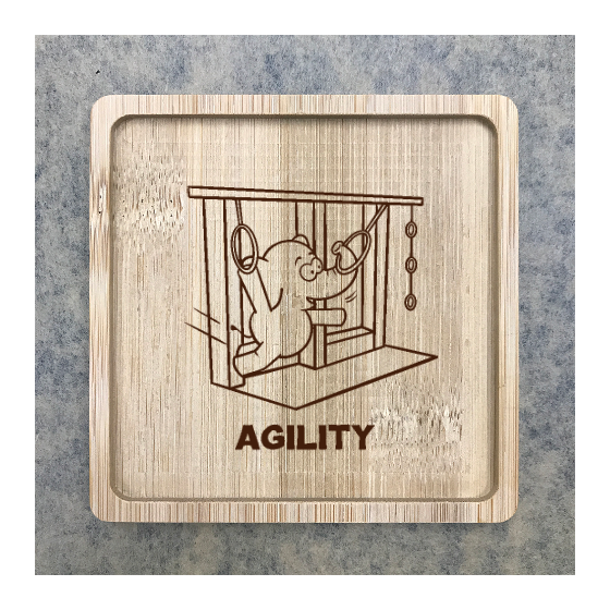 Custom Bamboo Coaster Printing 15