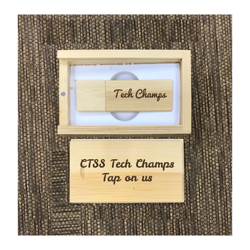 Custom Bamboo thumb drive set 01