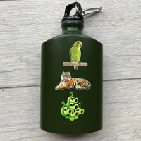 water bottle
