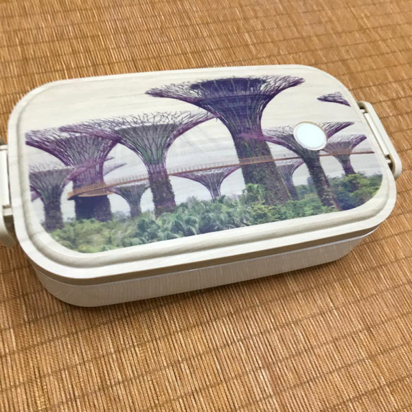 Custom lunch box 02