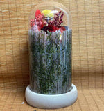 Custom Dry Flower 01
