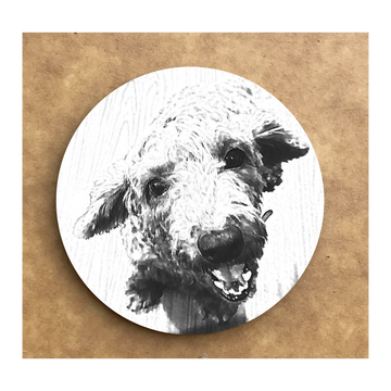 Custom Bamboo Coaster Printing 09