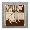 Custom Bamboo Coaster Printing 15