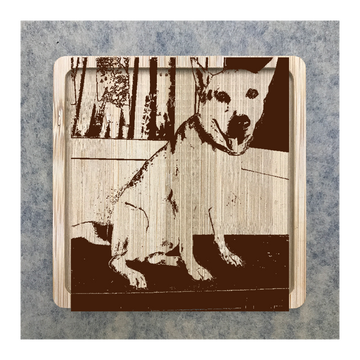 Custom Bamboo Coaster Printing 15