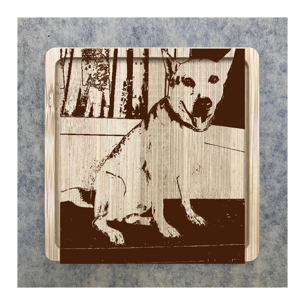 Custom Bamboo Coaster Printing 15